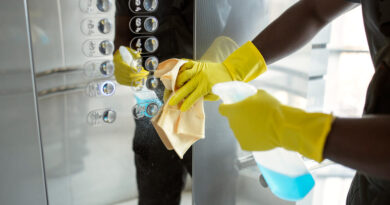 limpeza pós mudança